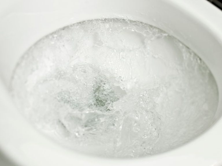 What Causes Noise From Pipes When A Toilet Flushes? Clover Contracting