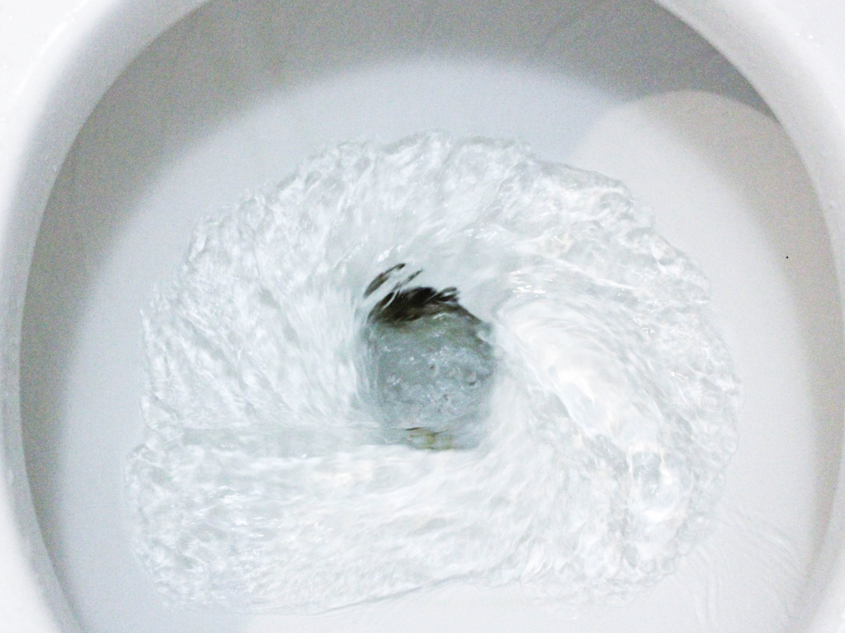 Ghost Flushing Causes & How To Stop It Clover Contracting